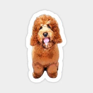 Cockerpoo Cockapoo Spoodle Cute Puppy Dog Doodle Sticker